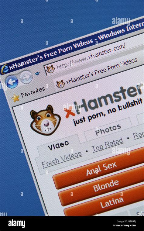 www hamster com|Porn Video Categories and All Sex Niches .